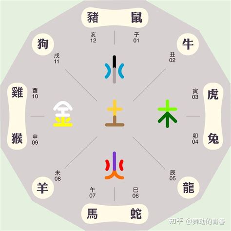 辰的五行|辰